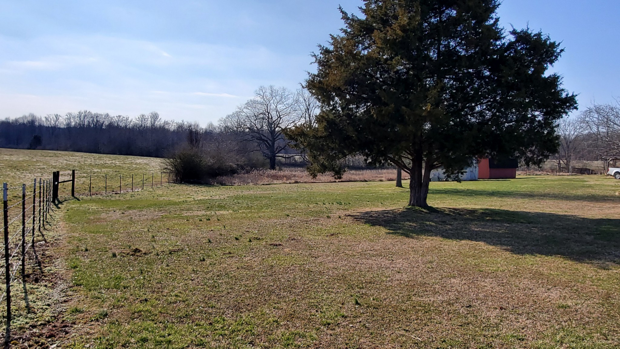 2073 Fall River Road Leoma, TN 38468 - Photo 42 of 44 a view of backyard with green space
