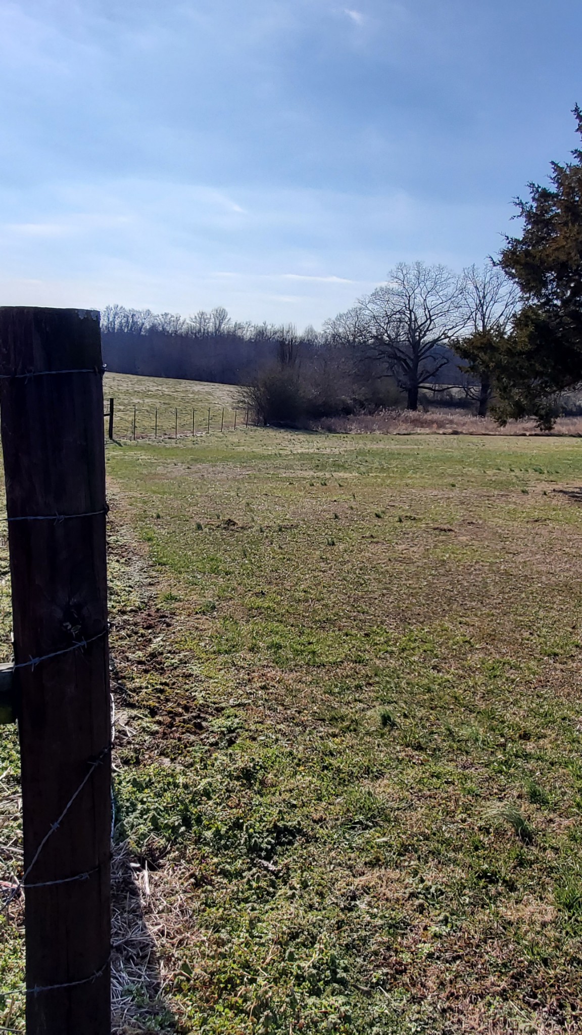 2073 Fall River Road Leoma, TN 38468 - Photo 43 of 44