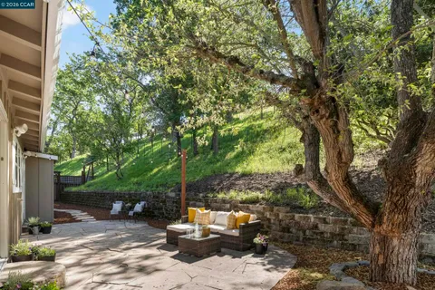 a view of a tree
