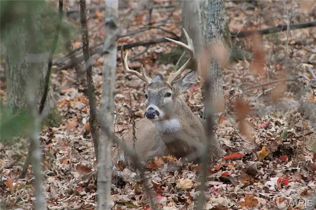 $367,000 | 345 Nottingham Drive, Marthasville, MO 63357