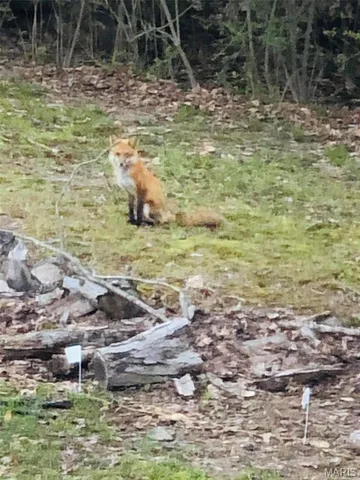 $367,000 | 345 Nottingham Drive, Marthasville, MO 63357