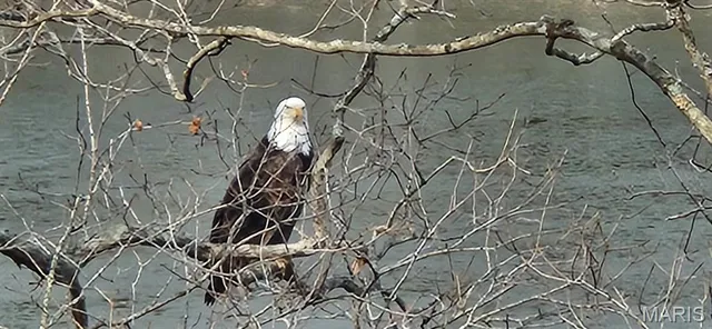 $367,000 | 345 Nottingham Drive, Marthasville, MO 63357