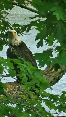 $367,000 | 345 Nottingham Drive, Marthasville, MO 63357