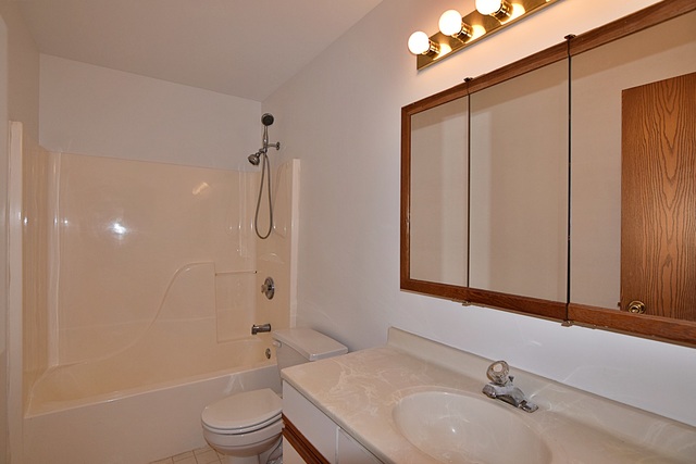 539 Elizabeth Street Maple Park, IL 60151 - Photo 17 of 25 a bathroom with a sink a toilet and shower