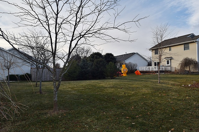 539 Elizabeth Street Maple Park, IL 60151 - Photo 24 of 25 a backyard of a house with table and chairs