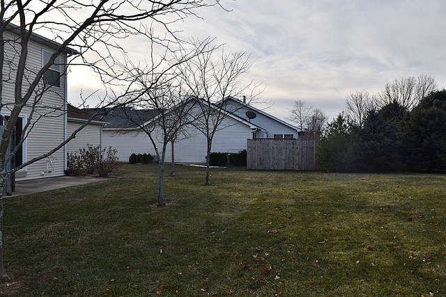 539 Elizabeth Street Maple Park, IL 60151 - Photo 25 of 25 a house view with backyard space