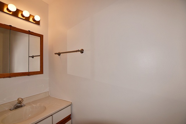 539 Elizabeth Street Maple Park, IL 60151 - Photo 6 of 25 a bathroom with a sink and mirror