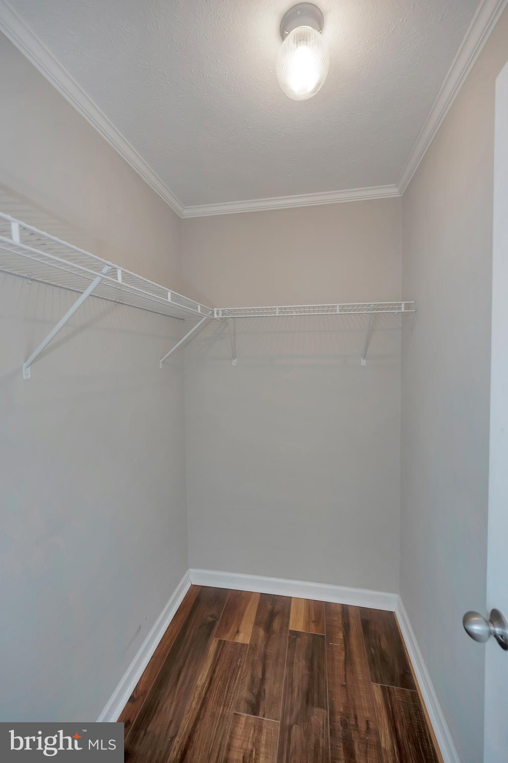 7238 Blanton Road Ruther Glen, VA 22546 - Photo 24 of 41 One of 2 walk in closets in primary suite.