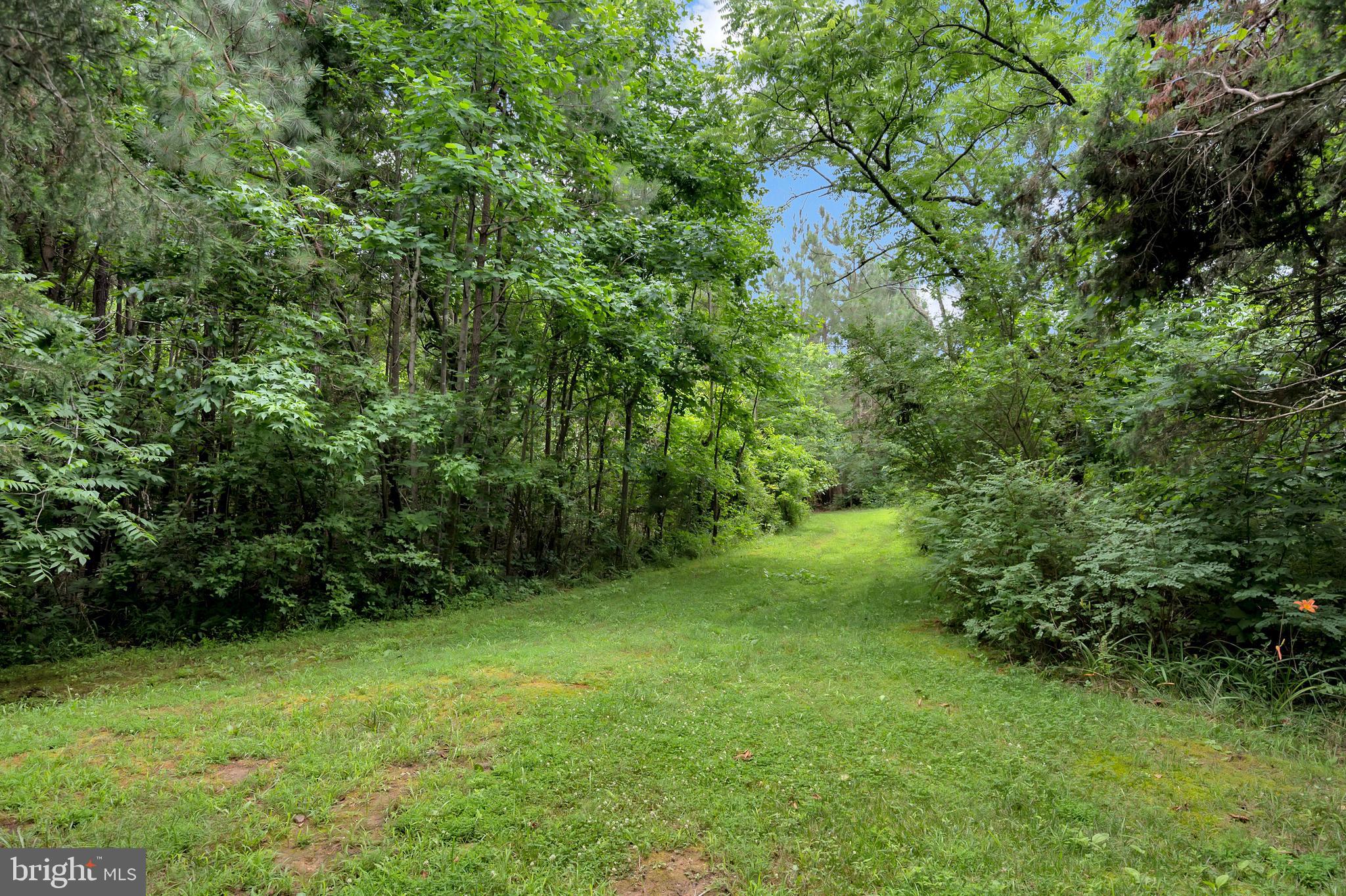7238 Blanton Road Ruther Glen, VA 22546 - Photo 38 of 41 woods