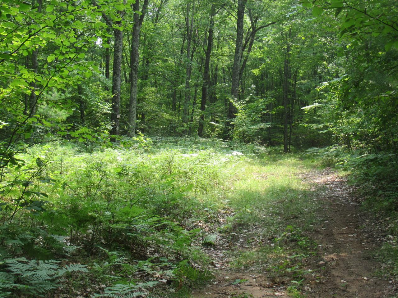 Tbd Kafka Road Wausaukee, WI 54177 - Photo 23 of 37 Gallery Image 23