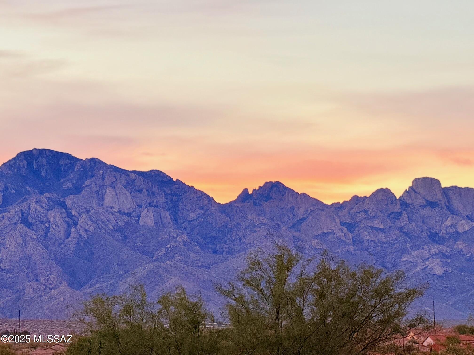 62893 East Flower Ridge Drive Tucson, AZ 85739 - Photo 44 of 49 4