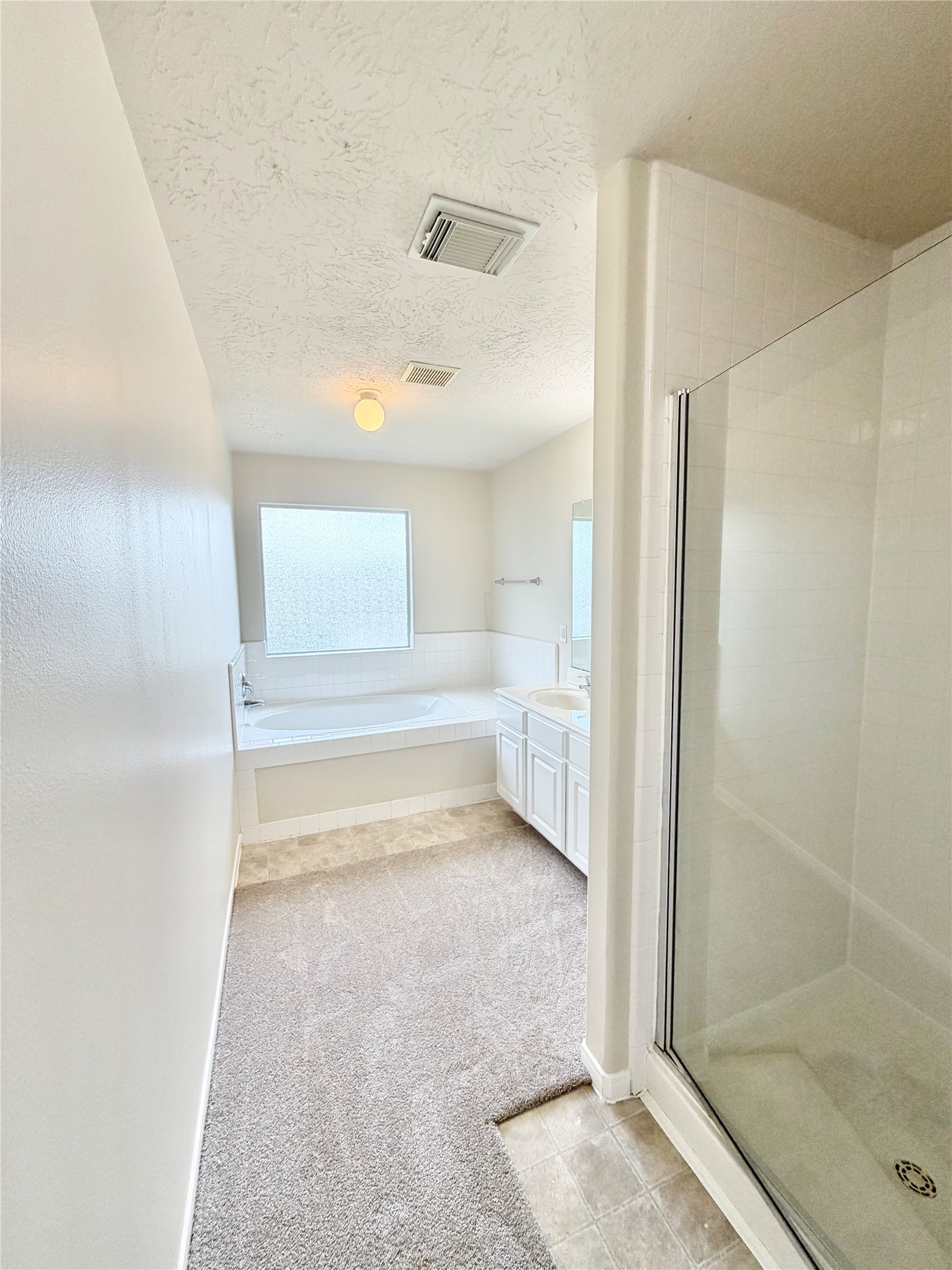 21734 Texian Court Spring, TX 77388 - Photo 13 of 18