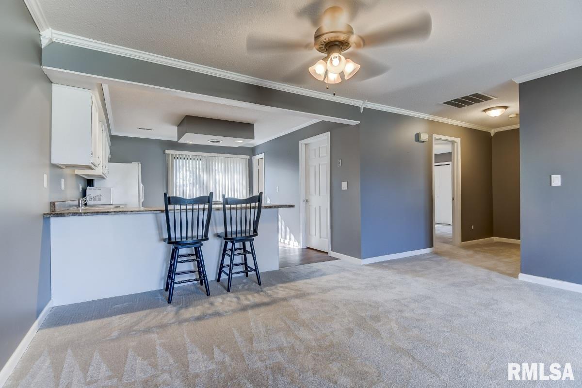 101 Oxford Road Springfield, IL 62704 - Photo 7 of 27