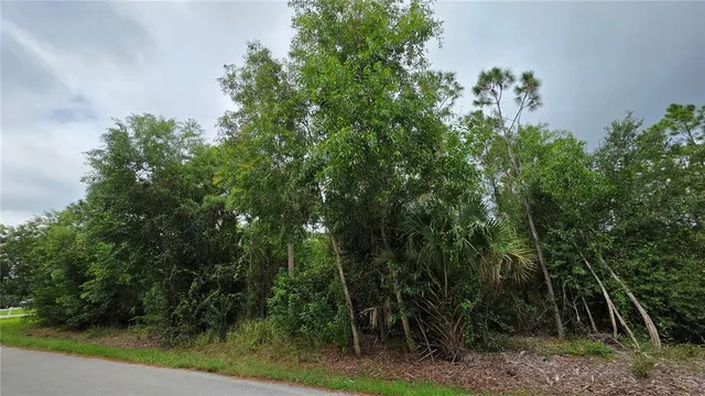$32,000 | 12339 Cognac Drive, Punta Gorda, FL 33955