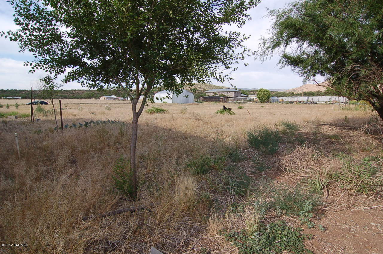 737 Harshaw Road Patagonia, AZ 85624 - Photo 15 of 15