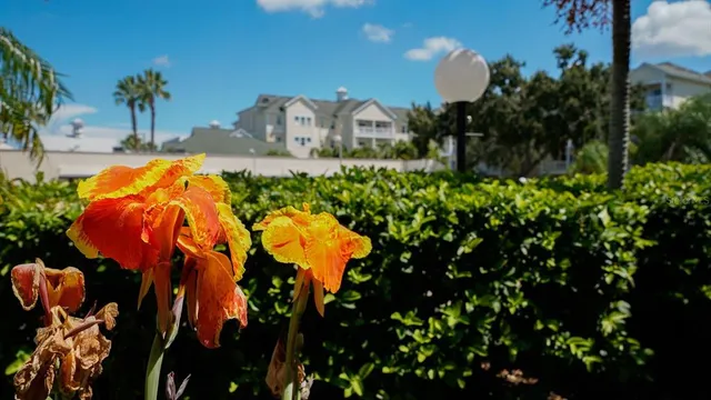 $150,000 | 1524 Lakeview Road, Unit 306, Clearwater, FL 33756