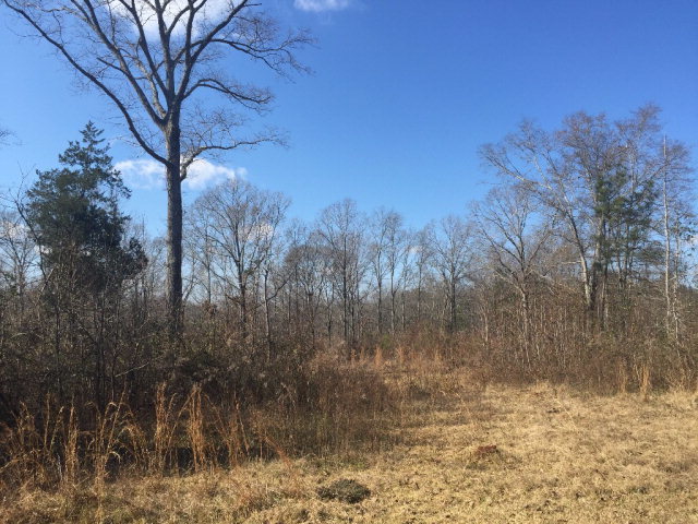 3247 Taylor Road Culloden, GA 31016 - Photo 10 of 15 Additional Photo