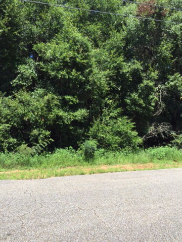 0 Oakhill Road Midland City, AL 36350 - Photo 1 of 1