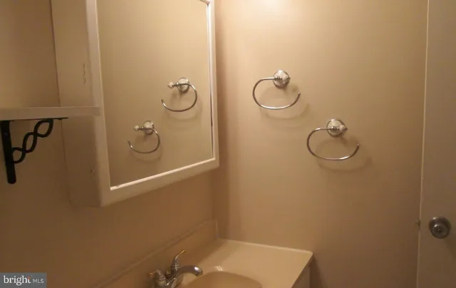 a bathroom with a sink and washing machine
