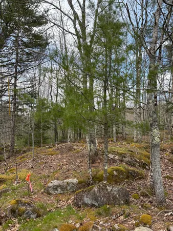 $37,400 | Lot 9 Aspen Drive, South Thomaston, ME 04858