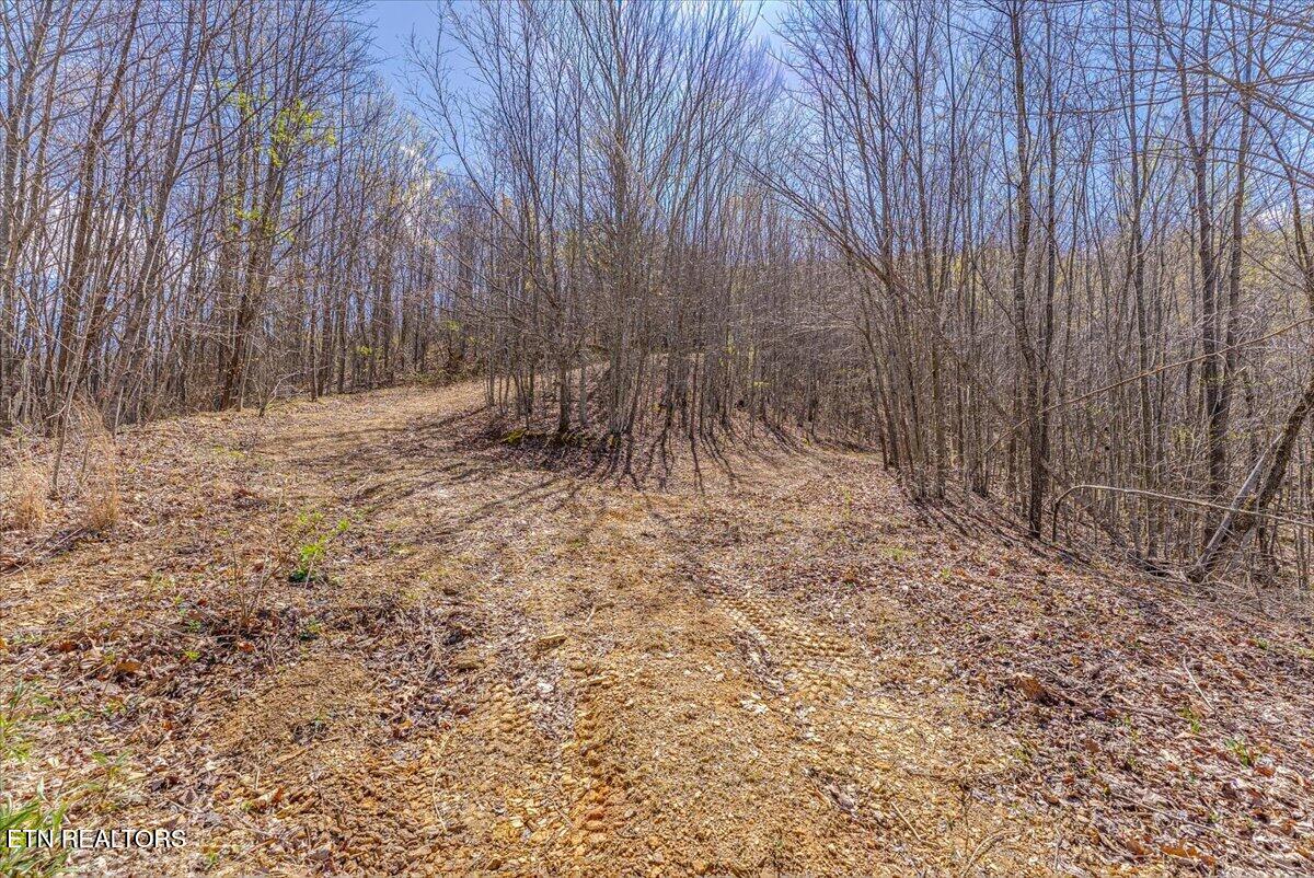 422 Crooked Branch Road Huntsville, TN 37756 - Photo 18 of 35 28-Entrance A3