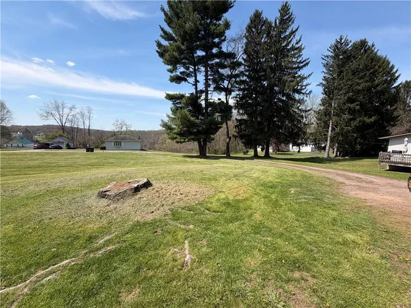 a view of a field with of trees