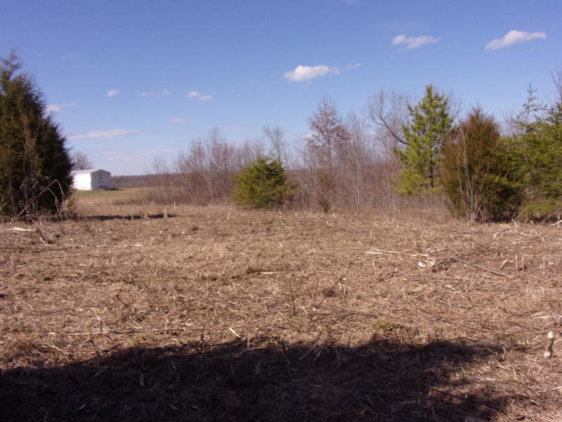4 Brewer Road Pikeville, TN 37367 - Photo 1 of 18 20200309190821327766000000-o