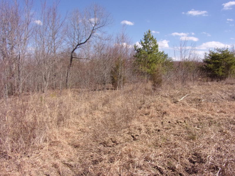 4 Brewer Road Pikeville, TN 37367 - Photo 11 of 18 20200309190936125742000000-o