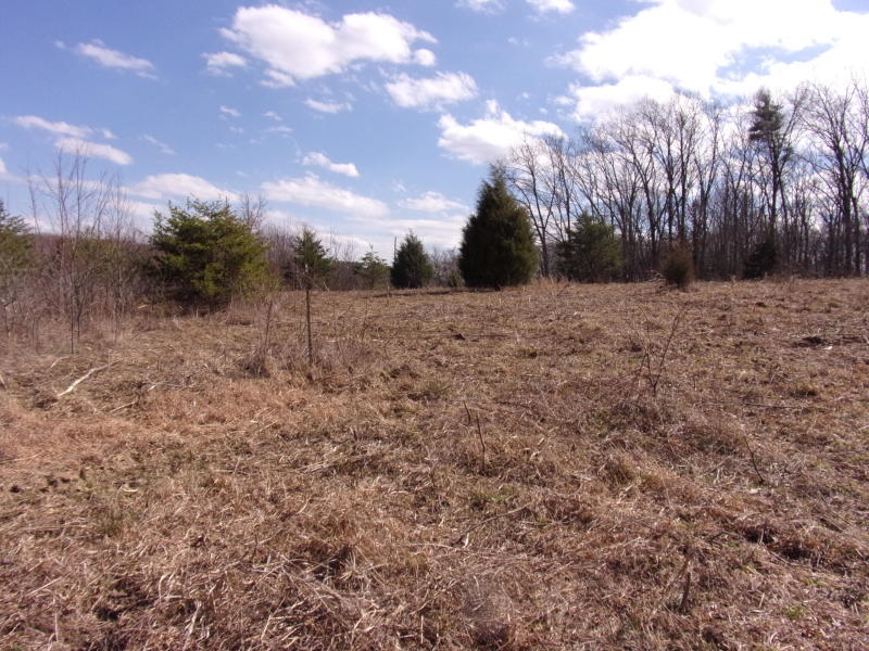 4 Brewer Road Pikeville, TN 37367 - Photo 12 of 18 20200309191003891980000000-o