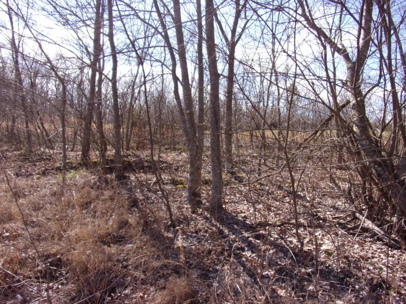 4 Brewer Road Pikeville, TN 37367 - Photo 14 of 18 20200309191057302667000000-o