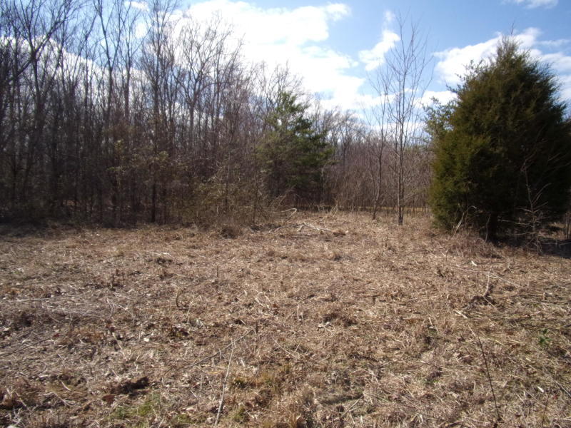 4 Brewer Road Pikeville, TN 37367 - Photo 17 of 18 20200309191211906422000000-o