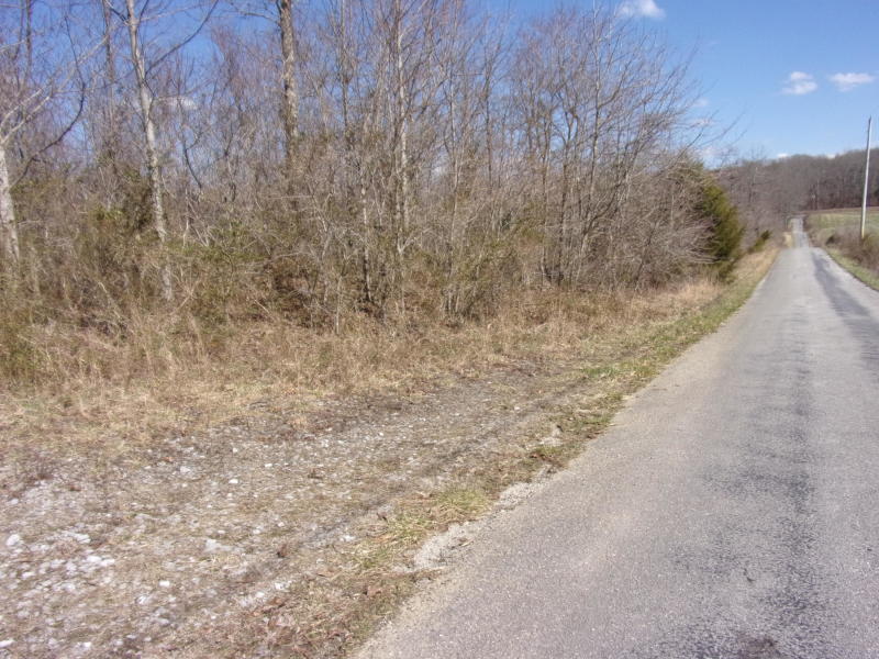 4 Brewer Road Pikeville, TN 37367 - Photo 3 of 18 20200309190545233438000000-o