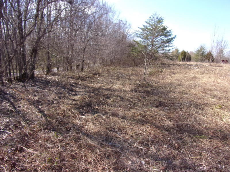 4 Brewer Road Pikeville, TN 37367 - Photo 4 of 18 20200309190612677310000000-o