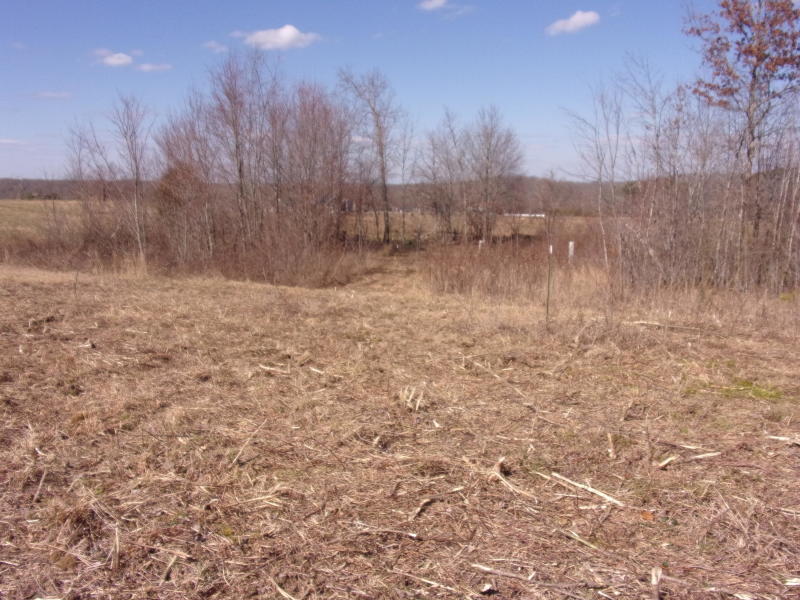 4 Brewer Road Pikeville, TN 37367 - Photo 10 of 18 20200309190911744921000000-o