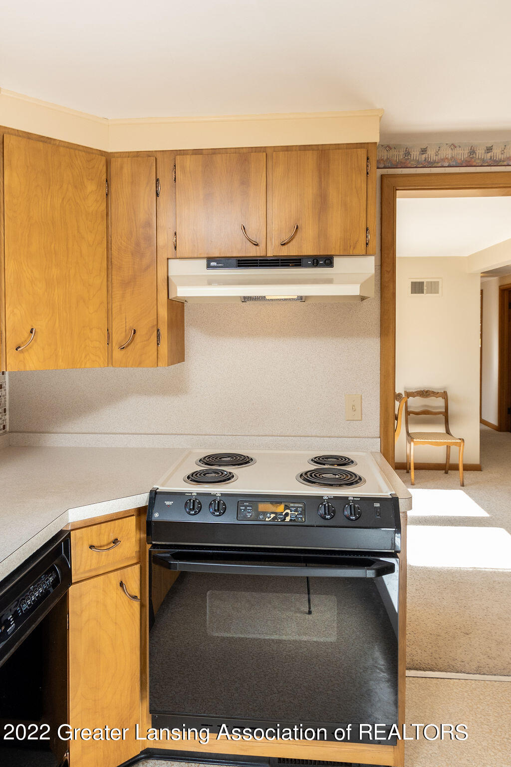 1040 Bretton Road Lansing, MI 48917 - Photo 11 of 36 Final-17