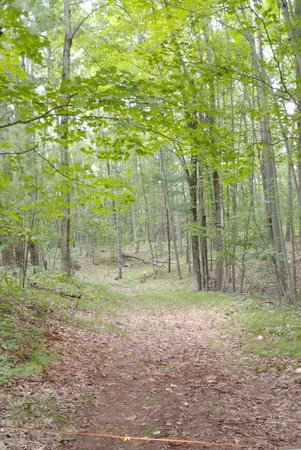 $35,000 | 3-acres South Frank Smith Road, Chase, MI 49623