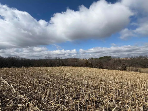 $299,000 | 20-ac Valley, Argyle, WI 53504