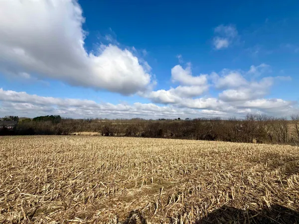 $299,000 | 20-ac Valley, Argyle, WI 53504