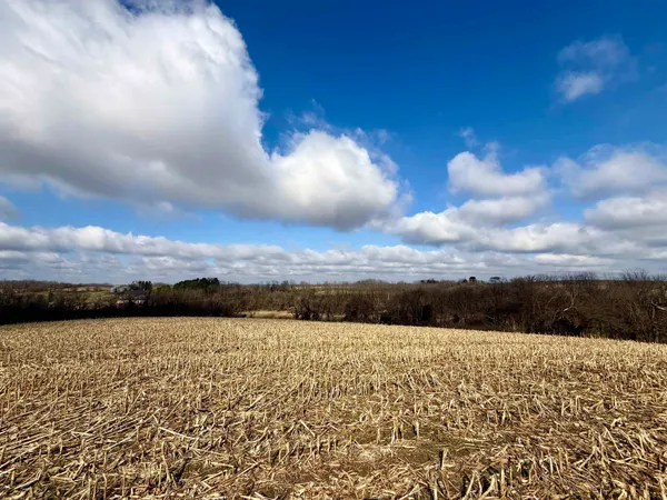 $299,000 | 20-ac Valley, Argyle, WI 53504