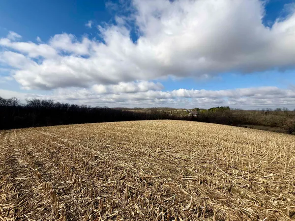 $299,000 | 20-ac Valley, Argyle, WI 53504