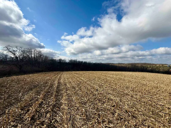 $299,000 | 20-ac Valley, Argyle, WI 53504