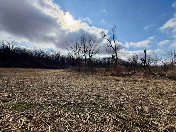 $299,000 | 20-ac Valley, Argyle, WI 53504
