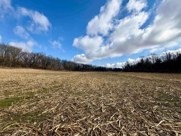 $299,000 | 20-ac Valley, Argyle, WI 53504
