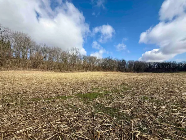 $299,000 | 20-ac Valley, Argyle, WI 53504