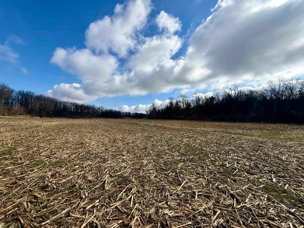 $299,000 | 20-ac Valley, Argyle, WI 53504