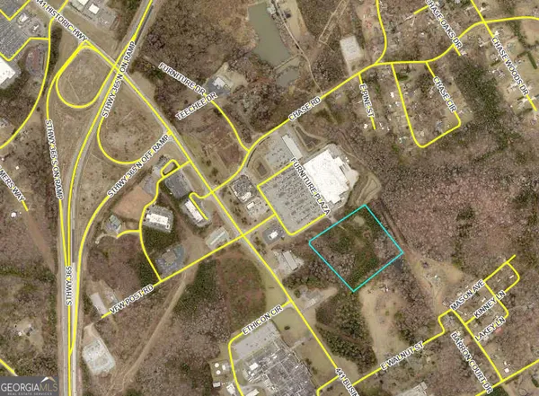 a view of a yard and plants