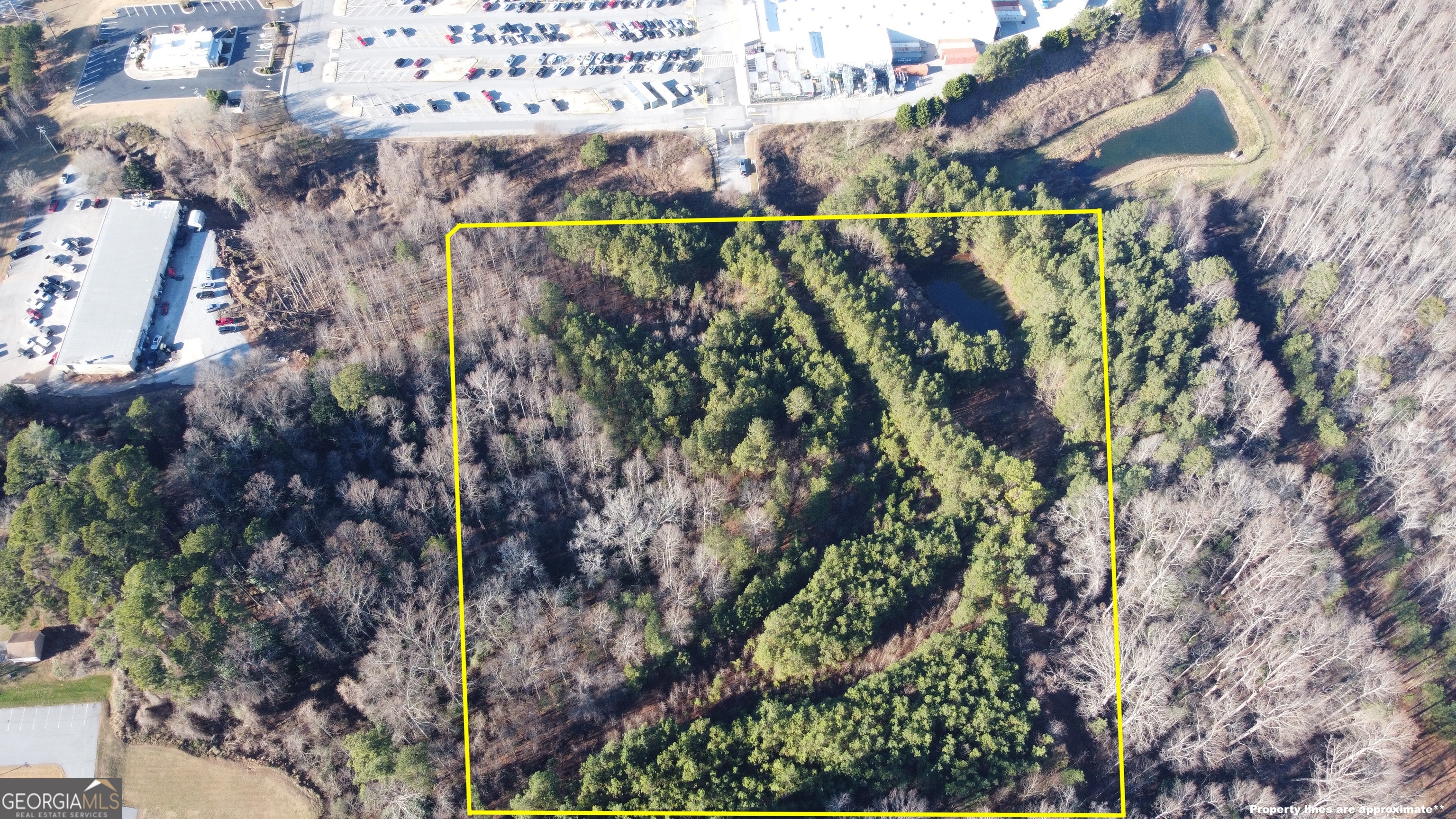 0 Chase Road Cornelia, GA 30531 - Photo 2 of 2 a view of a yard and plants