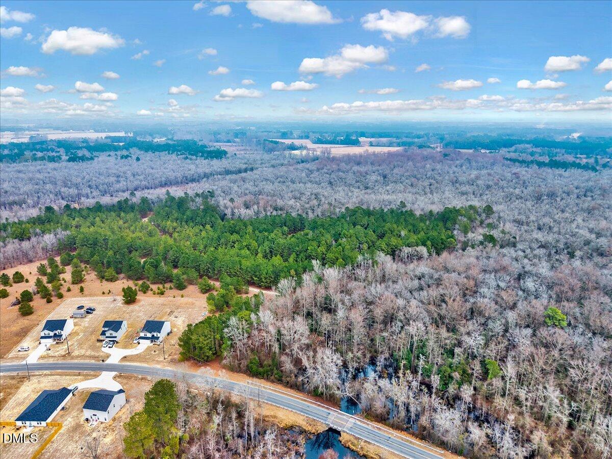 Lot 5 Blue Springs Road Red Springs, NC 28377 - Photo 5 of 9