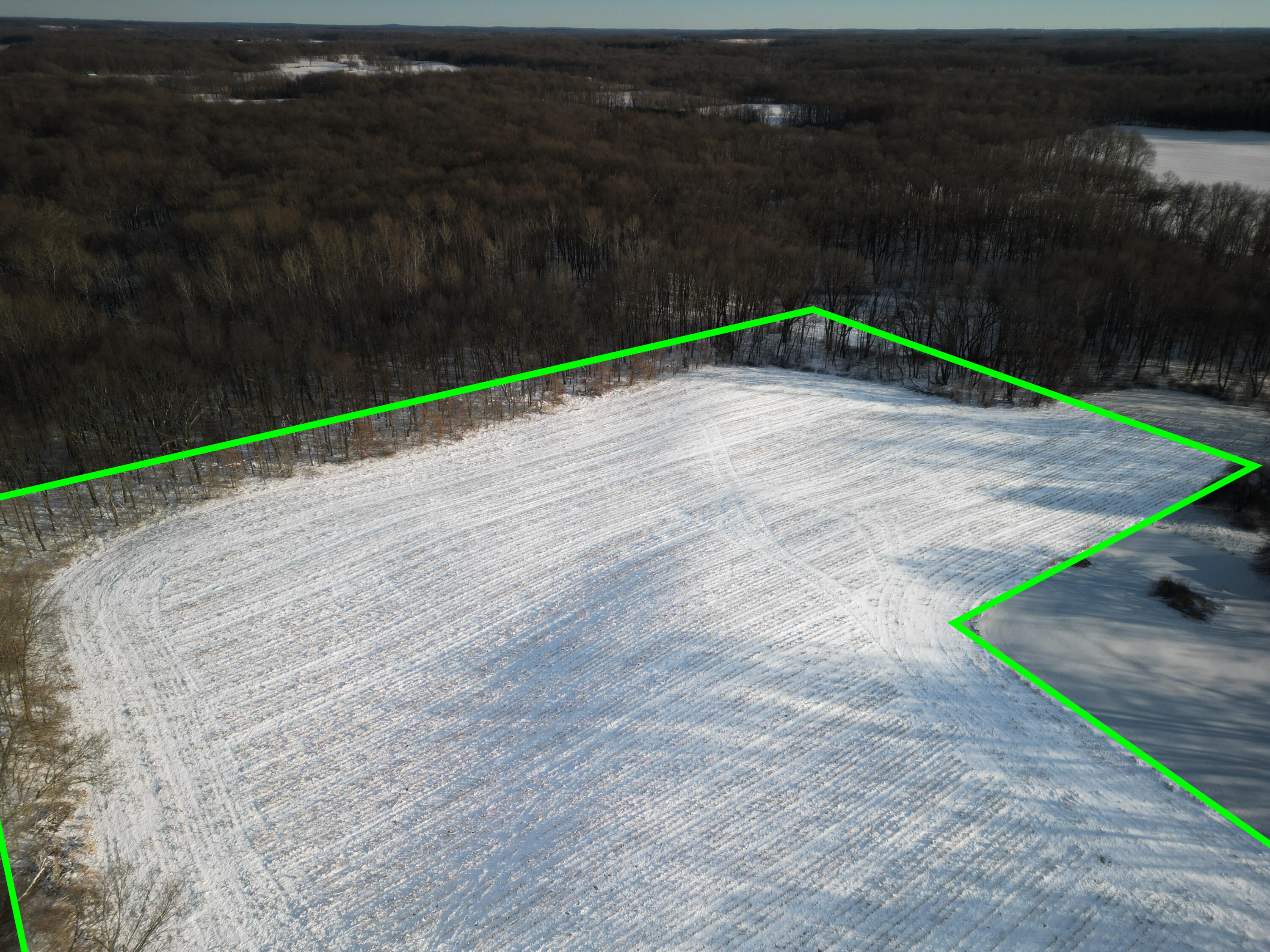 9317 Rountree Road Horton, MI 49246 - Photo 9 of 21 9100 Moscow Road 9