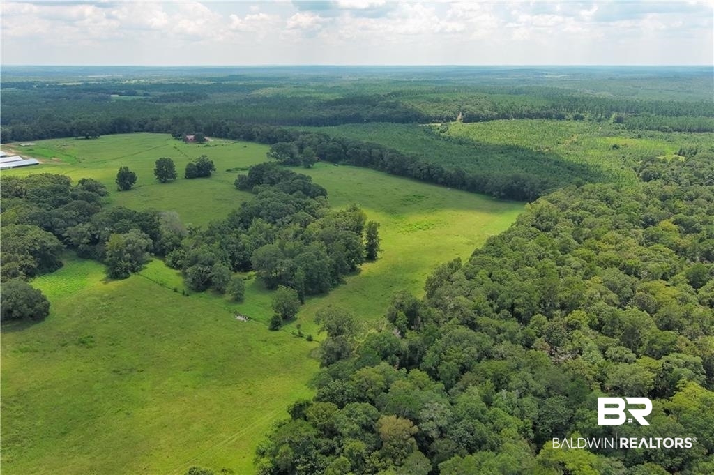 0 Circle R Farm Drive Florala, AL 36442 - Photo 12 of 25